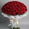 Букет 101 Красная роза Блэк Мэджик в Шайковке
