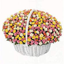 Премиум букет из: Розы в Шайковке