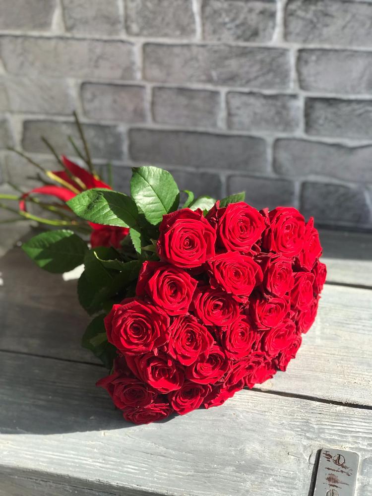Букет Красные розы Фридом в Шайковке