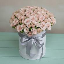 Цветочная композиция из Розы в шляпной коробке в Шайковке