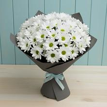 Букет цветов из:  Хризантемы #REPLACE_PRED# Шайковке