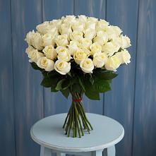 Букет 51 Белая роза Эдлесс Лав #REPLACE_PRED# Шайковке