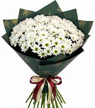 Букет цветов из:  Хризантемы в Шайковке