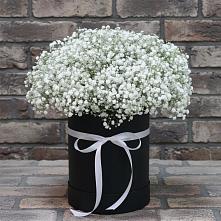 Цветочная композиция из Гипсофила в шляпной коробке в Шайковке