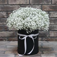 Цветочная композиция из Гипсофила в шляпной коробке в Шайковке