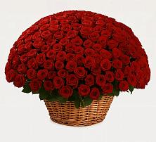 Премиум букет из: Розы в Шайковке