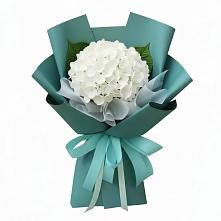 Букет цветов из:  Гортензия в Шайковке
